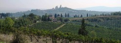 Vigneti con la citta' sullo sfondo