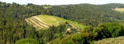 Le campagne di Ormanni