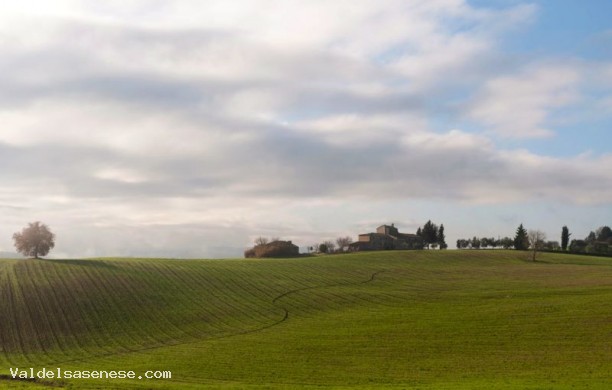 Among the villages of the Val d'Elsa