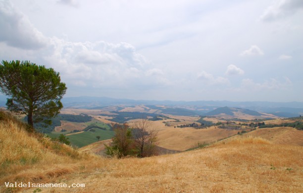 Pievi e Abbazie Colligiane