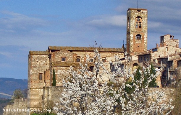 Duomo Santi Alberto e Marziale