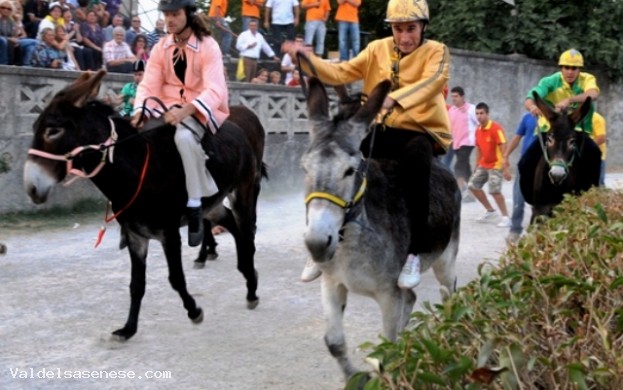 Festa della Madonna e Palio dei ciuchi