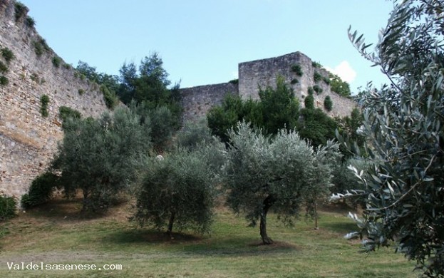 Arena Rocca di Montestaffoli